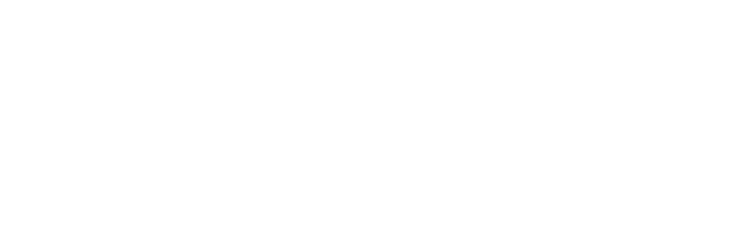 NewsLetter DYD